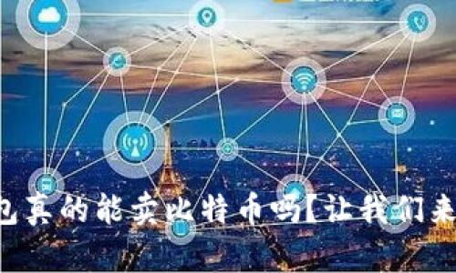 美国的钱包真的能卖比特币吗?让我们来探讨一下!