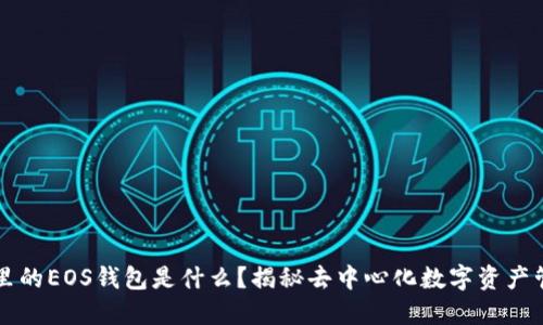 TPWallet里的EOS钱包是什么？揭秘去中心化数字资产管理的秘密