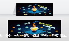 比特币可以存在什么类型的钱包？让我们来聊聊