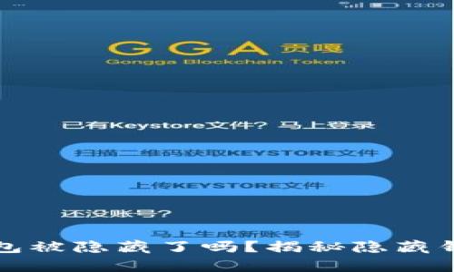你知道你的比特币钱包被隐藏了吗？揭秘隐藏钱包的真相与解决方案