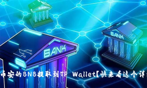 如何将币安的BNB提取到TP Wallet？快来看这个详细指南！