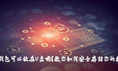比特币钱包可以放在U盘吗？教你如何安全存储你的数字货币