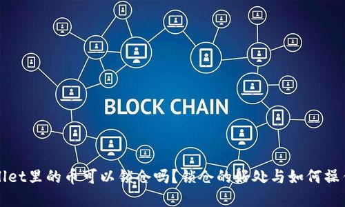 TPWallet里的币可以锁仓吗？锁仓的好处与如何操作详解