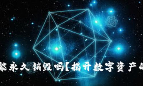TPWallet能永久销毁吗？揭开数字资产的销毁秘密