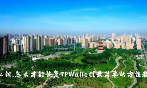 只有私钥，怎么才能恢复TPWallet？最简单的方法教给你！