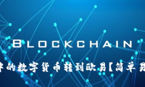 如何将TP钱包中的数字货币转到欧易？简单易懂的操作指南！