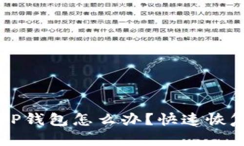 误删TP钱包怎么办？快速恢复指南