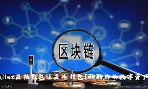 tpwallet是热钱包还是冷钱包？聊聊你的数字资产安全