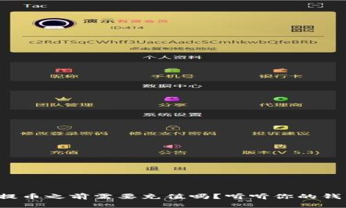 tpwallet提币之前需要充值吗？听听你的钱包怎么说！