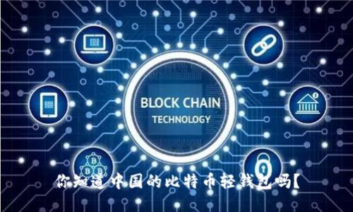 你知道中国的比特币轻钱包吗？