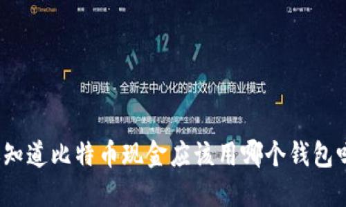 你知道比特币现金应该用哪个钱包吗？