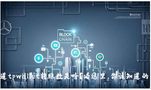 不知道tpwallet转账数是啥?看这里,你该知道的一切!