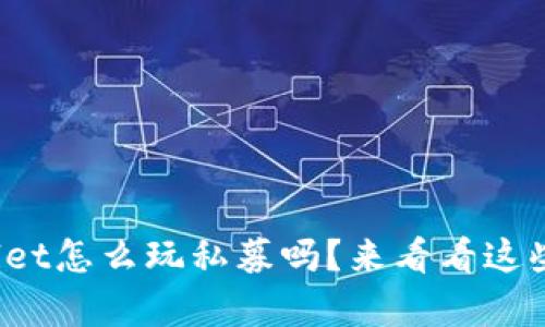 你知道tpwallet怎么玩私募吗？来看看这些实用技巧吧！