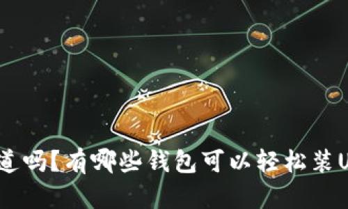 你知道吗？有哪些钱包可以轻松装USDT？