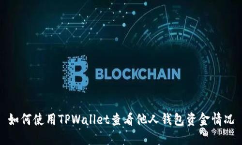 如何使用TPWallet查看他人钱包资金情况
