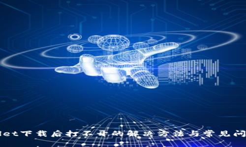 TPWallet下载后打不开的解决方法与常见问题解析