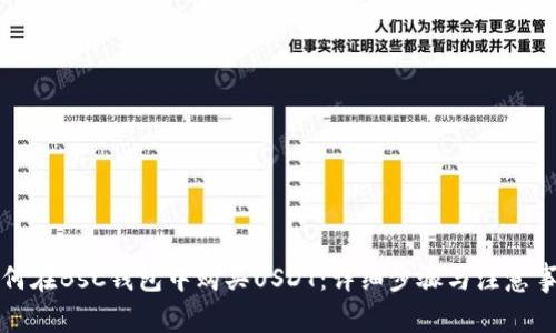 如何在BsC钱包中购买USDT：详细步骤与注意事项