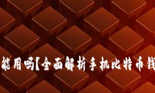 比特币钱包在手机上能用吗？全面解析手机比特币钱包的安全性与便捷性