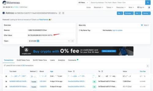 tpwallet选择什么网络？全面解析各大网络的优缺点与适用场景