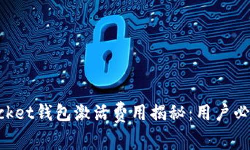 TokenPocket钱包激活费用揭秘：用户必知的真相