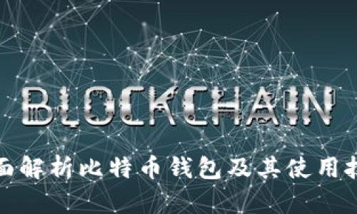 全面解析比特币钱包及其使用技巧