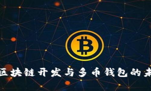 全面解析区块链开发与多币钱包的未来与现状