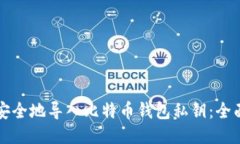 如何安全地导入比特币钱包私钥：全面指南