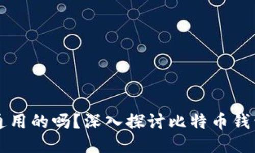 比特币钱包是通用的吗？深入探讨比特币钱包的种类与功能