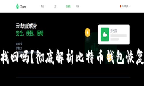 比特币钱包能找回吗？彻底解析比特币钱包恢复的方法与风险