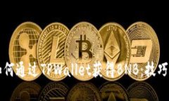 详解如何通过TPWallet获得BNB：技巧与方法