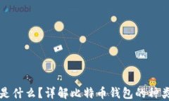 比特币钱包是什么？详解比特币钱包的种类与使
