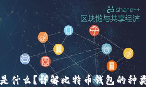 
比特币钱包是什么？详解比特币钱包的种类与使用方法