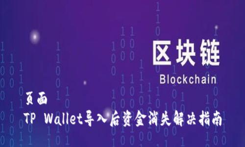 页面
TP Wallet导入后资金消失解决指南