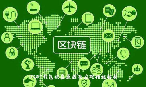 USDT钱包被盗原因及应对措施解析