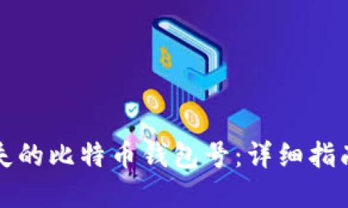 如何找回丢失的比特币钱包号：详细指南与实用技巧